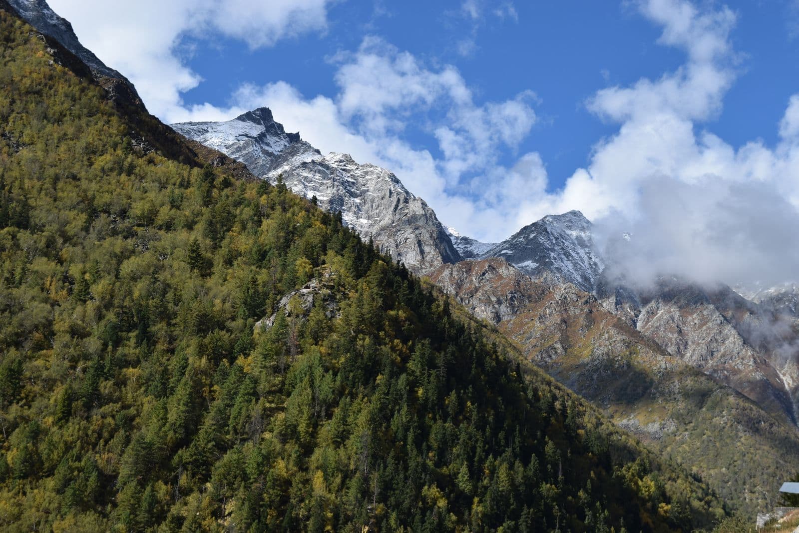 Delhi → Shimla → Chitkul